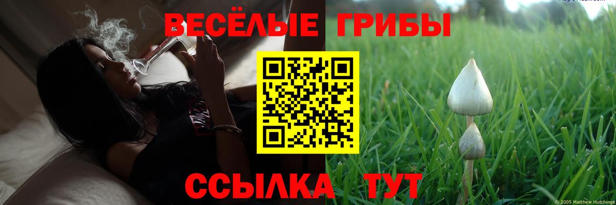Галлюциногенные грибы GOLDEN TEACHER Сухой Лог