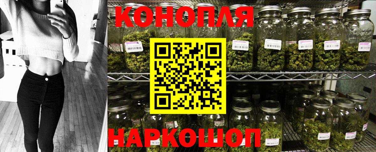 Каннабис планчик Сухой Лог