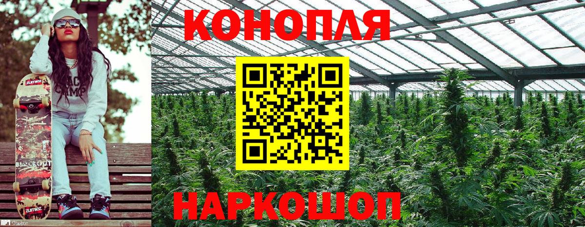 Сухой Лог  Марихуана THC 21%  Конопля сатива  МАРИХУАНА ГИДРОПОН  Вход с VPN 